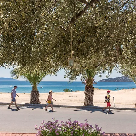 Отель Golden 2*